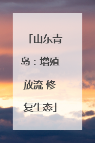 山东青岛：增殖放流 修复生态