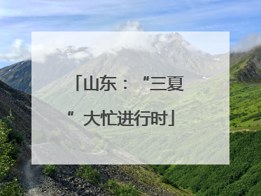 山东：“三夏”大忙进行时