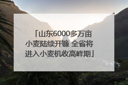 山东6000多万亩小麦陆续开镰 全省将进入小麦机收高峰期