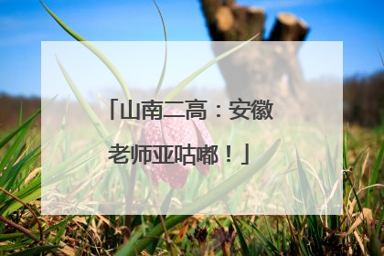 山南二高：安徽老师亚咕嘟！
