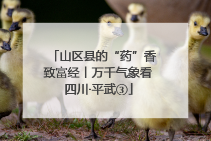 山区县的“药”香致富经丨万千气象看四川·平武③