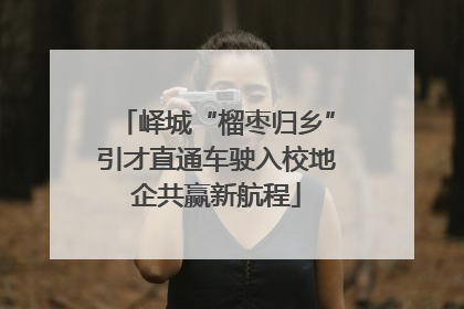 峄城“榴枣归乡”引才直通车驶入校地企共赢新航程