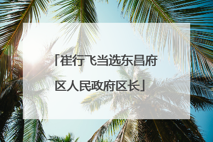 崔行飞当选东昌府区人民政府区长