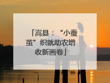 嵩县：“小蚕茧”织就助农增收新画卷