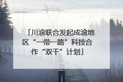 川渝联合发起成渝地区“一带一路”科技合作“双千”计划