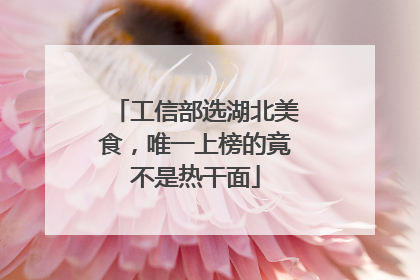 工信部选湖北美食，唯一上榜的竟不是热干面