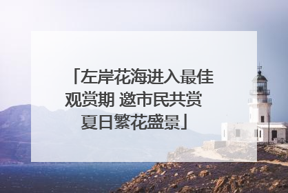 左岸花海进入最佳观赏期 邀市民共赏夏日繁花盛景