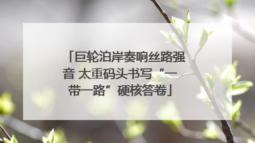 巨轮泊岸奏响丝路强音 太重码头书写“一带一路”硬核答卷
