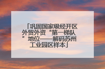 巩固国家级经开区外贸外资“第一梯队”地位——解码苏州工业园区样本