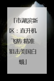 市湖滨新区：直升机飞防 精准狙击美国白蛾