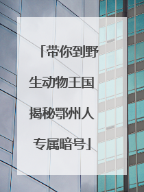 带你到野生动物王国揭秘鄂州人专属暗号