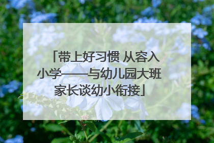 带上好习惯 从容入小学——与幼儿园大班家长谈幼小衔接