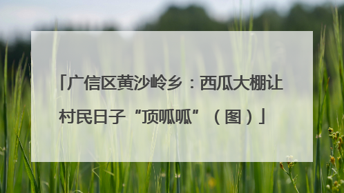 广信区黄沙岭乡：西瓜大棚让村民日子“顶呱呱”（图）