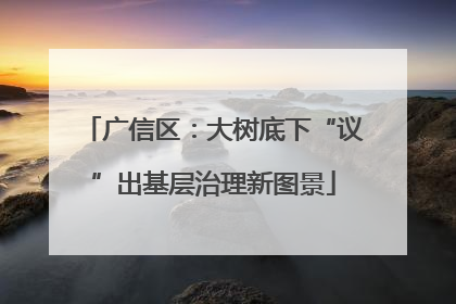广信区：大树底下“议”出基层治理新图景