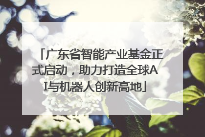 广东省智能产业基金正式启动，助力打造全球AI与机器人创新高地