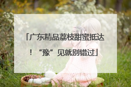 广东精品荔枝甜蜜抵达！“豫”见就别错过