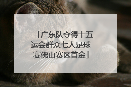 广东队夺得十五运会群众七人足球赛佛山赛区首金