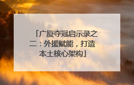 广厦夺冠启示录之二：外援赋能，打造本土核心架构