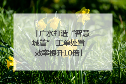广水打造“智慧城管” 工单处置效率提升10倍