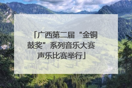 广西第二届“金铜鼓奖”系列音乐大赛声乐比赛举行