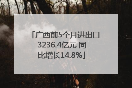 广西前5个月进出口3236.4亿元 同比增长14.8%