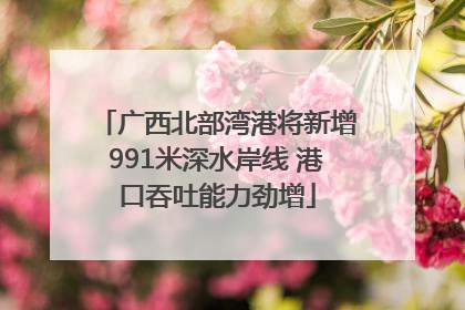 广西北部湾港将新增991米深水岸线 港口吞吐能力劲增