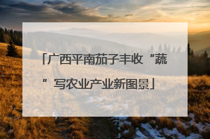广西平南茄子丰收“蔬”写农业产业新图景