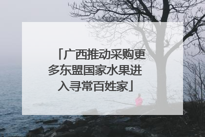 广西推动采购更多东盟国家水果进入寻常百姓家