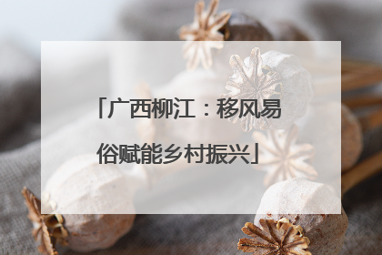 广西柳江：移风易俗赋能乡村振兴
