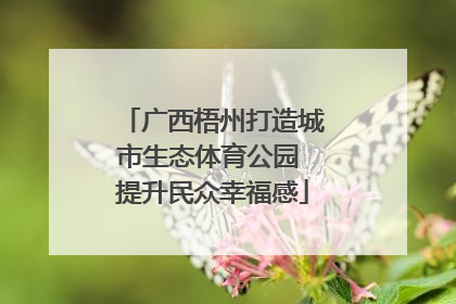 广西梧州打造城市生态体育公园 提升民众幸福感