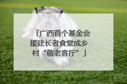 广西首个基金会援建长者食堂成乡村“敬老客厅”