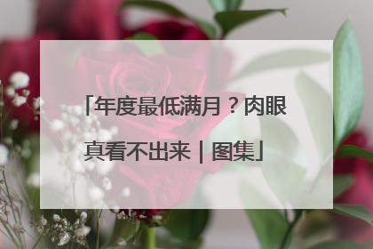 年度最低满月？肉眼真看不出来｜图集