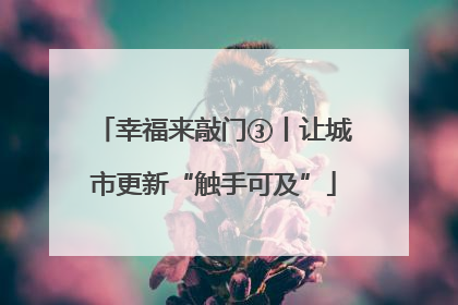 幸福来敲门③丨让城市更新“触手可及”