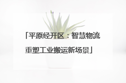 平原经开区：智慧物流重塑工业搬运新场景