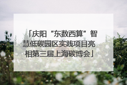 庆阳“东数西算”智慧低碳园区实践项目亮相第三届上海碳博会