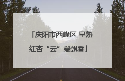 庆阳市西峰区 早熟红杏“云”端飘香