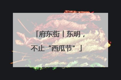 府东街丨东明，不止“西瓜节”