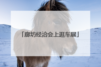 廊坊经洽会上逛车展