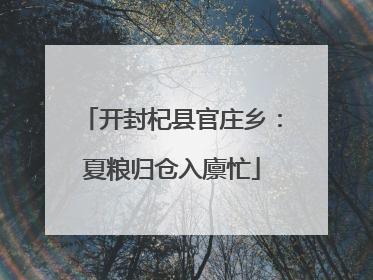 开封杞县官庄乡：夏粮归仓入廪忙