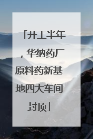 开工半年，华纳药厂原料药新基地四大车间封顶