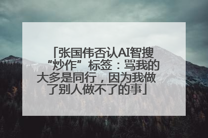 张国伟否认AI智搜“炒作”标签：骂我的大多是同行，因为我做了别人做不了的事