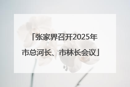 张家界召开2025年市总河长、市林长会议