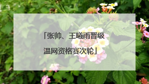 张帅、王曦雨晋级温网资格赛次轮