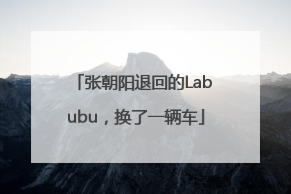 张朝阳退回的Labubu，换了一辆车