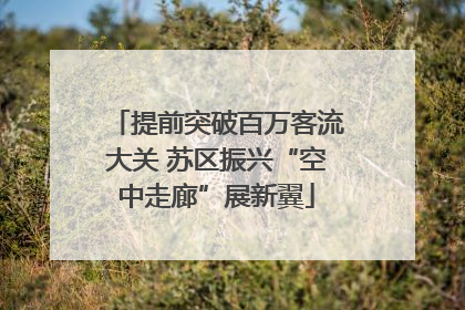 提前突破百万客流大关 苏区振兴“空中走廊”展新翼
