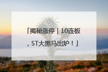 揭秘涨停｜10连板，ST大黑马出炉！