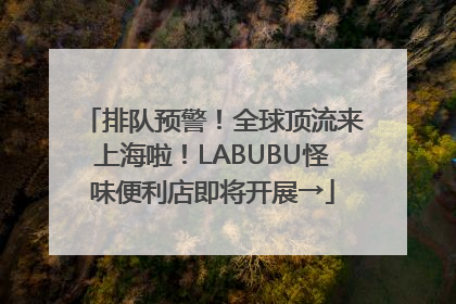 排队预警！全球顶流来上海啦！LABUBU怪味便利店即将开展→