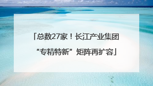 总数27家！长江产业集团“专精特新”矩阵再扩容