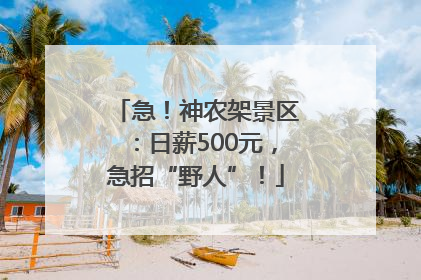 急！神农架景区：日薪500元，急招“野人”！