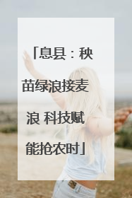 息县：秧苗绿浪接麦浪 科技赋能抢农时